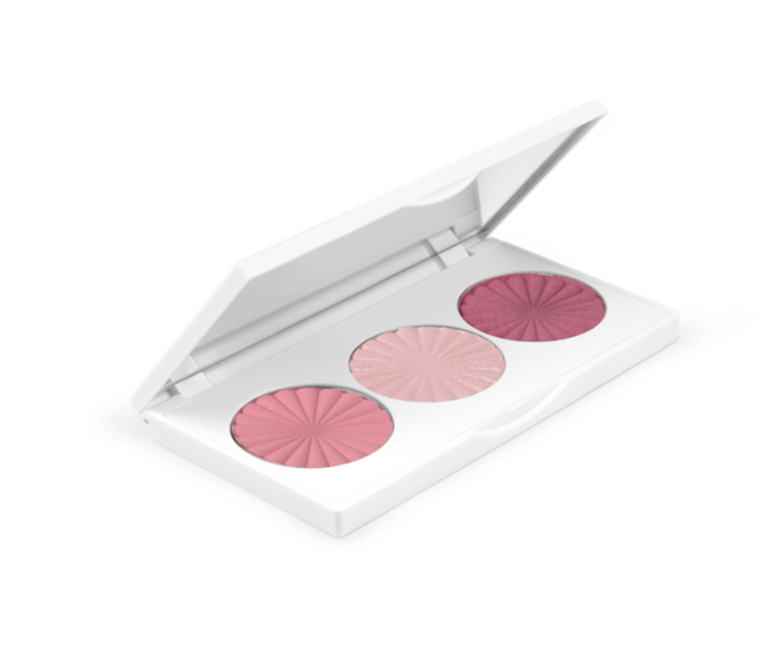 Палитра румяна и хайлайтер Ofra Cosmetics Midi Palette Blossom Blush, 9 г 8883665115 фото